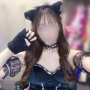 ヒメ日記 2025/12/16 09:54 投稿 ななは いざ候 別館