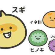 ヒメ日記 2025/03/14 17:33 投稿 りょう★華蓮で品がある美魔女★ Bell～S級美女お姉様・人妻デリヘル～