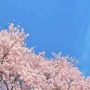 ヒメ日記 2026/04/03 21:13 投稿 りょう★華蓮で品がある美魔女★ Bell～S級美女お姉様・人妻デリヘル～