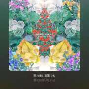 ヒメ日記 2025/11/17 16:10 投稿 りん タレント倶楽部