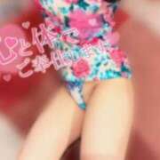 ヒメ日記 2025/01/30 16:11 投稿 ミク ルパン