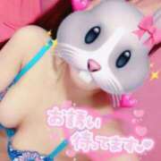 ヒメ日記 2025/02/08 14:01 投稿 ミク ルパン