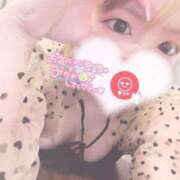 ヒメ日記 2025/04/14 19:31 投稿 ミク ルパン