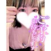 ヒメ日記 2025/04/17 15:45 投稿 ミク ルパン