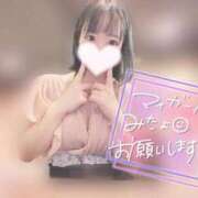 ヒメ日記 2025/04/17 20:02 投稿 ミク ルパン