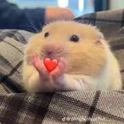 ヒメ日記 2025/06/04 00:40 投稿 ミク ルパン