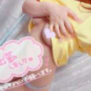 ヒメ日記 2025/06/08 14:10 投稿 ミク ルパン