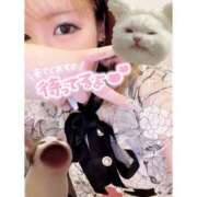 ヒメ日記 2025/07/03 19:02 投稿 ミク ルパン