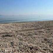 ヒメ日記 2025/07/29 14:35 投稿 ミク ルパン