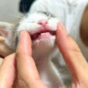 ヒメ日記 2025/08/29 16:39 投稿 ミク ルパン