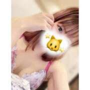 ヒメ日記 2025/09/15 15:13 投稿 ミク ルパン