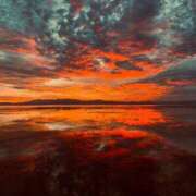 ヒメ日記 2025/10/14 19:31 投稿 ミク ルパン