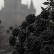 ヒメ日記 2025/12/02 21:05 投稿 ミク ルパン