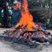 ヒメ日記 2026/01/05 21:06 投稿 ミク ルパン