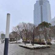 ヒメ日記 2026/02/08 21:33 投稿 ミク ルパン