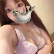 ヒメ日記 2026/02/22 16:47 投稿 ミク ルパン