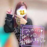 ヒメ日記 2026/02/26 16:15 投稿 ミク ルパン