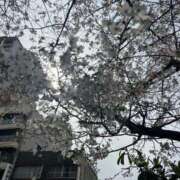 ヒメ日記 2026/02/28 00:48 投稿 ミク ルパン