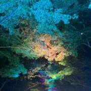 ヒメ日記 2026/03/02 18:43 投稿 ミク ルパン