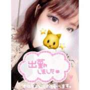 ヒメ日記 2026/03/26 16:19 投稿 ミク ルパン