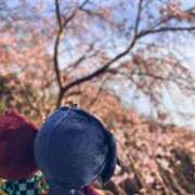 ヒメ日記 2026/04/04 18:32 投稿 ミク ルパン