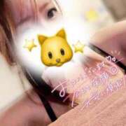 ヒメ日記 2026/04/06 15:22 投稿 ミク ルパン