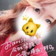 ヒメ日記 2026/04/09 15:12 投稿 ミク ルパン