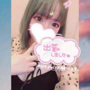 ヒメ日記 2026/04/12 15:31 投稿 ミク ルパン