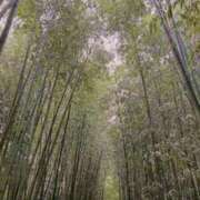 ヒメ日記 2026/04/21 18:02 投稿 ミク ルパン