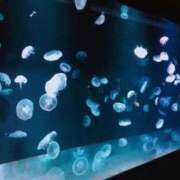 ヒメ日記 2026/07/02 08:02 投稿 ミク ルパン