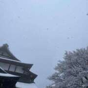 ヒメ日記 2025/02/06 11:05 投稿 わかな 渋谷くいーんず