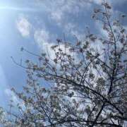 わかな 本日出勤してます！ 渋谷くいーんず