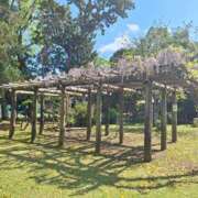 さつき 病院の藤！ 千葉人妻花壇