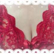 ヒメ日記 2025/02/24 08:22 投稿 ちなみ(昭和44年生まれ) 熟年カップル名古屋～生電話からの営み～