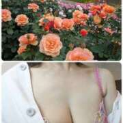 ヒメ日記 2025/06/18 17:38 投稿 ちなみ(昭和44年生まれ) 熟年カップル名古屋～生電話からの営み～