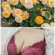 ヒメ日記 2025/06/21 21:24 投稿 ちなみ(昭和44年生まれ) 熟年カップル名古屋～生電話からの営み～