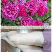 ヒメ日記 2025/06/22 20:14 投稿 ちなみ(昭和44年生まれ) 熟年カップル名古屋～生電話からの営み～