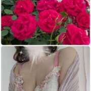 ヒメ日記 2025/06/25 21:56 投稿 ちなみ(昭和44年生まれ) 熟年カップル名古屋～生電話からの営み～