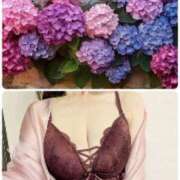 ヒメ日記 2025/06/27 21:33 投稿 ちなみ(昭和44年生まれ) 熟年カップル名古屋～生電話からの営み～