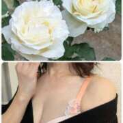 ヒメ日記 2025/06/28 19:52 投稿 ちなみ(昭和44年生まれ) 熟年カップル名古屋～生電話からの営み～