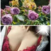 ヒメ日記 2025/07/02 19:18 投稿 ちなみ(昭和44年生まれ) 熟年カップル名古屋～生電話からの営み～