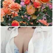 ヒメ日記 2025/07/04 18:57 投稿 ちなみ(昭和44年生まれ) 熟年カップル名古屋～生電話からの営み～