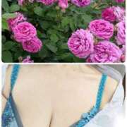 ヒメ日記 2025/07/08 21:34 投稿 ちなみ(昭和44年生まれ) 熟年カップル名古屋～生電話からの営み～