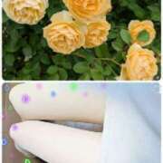 ヒメ日記 2025/07/26 21:55 投稿 ちなみ(昭和44年生まれ) 熟年カップル名古屋～生電話からの営み～