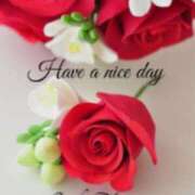 ヒメ日記 2025/08/04 08:11 投稿 ちなみ(昭和44年生まれ) 熟年カップル名古屋～生電話からの営み～