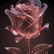 ヒメ日記 2025/08/08 08:07 投稿 ちなみ(昭和44年生まれ) 熟年カップル名古屋～生電話からの営み～