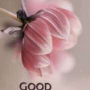 ヒメ日記 2025/08/16 08:11 投稿 ちなみ(昭和44年生まれ) 熟年カップル名古屋～生電話からの営み～