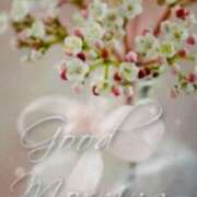 ヒメ日記 2025/08/27 07:57 投稿 ちなみ(昭和44年生まれ) 熟年カップル名古屋～生電話からの営み～