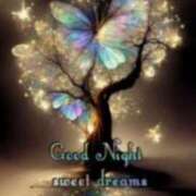 ヒメ日記 2025/08/30 23:59 投稿 ちなみ(昭和44年生まれ) 熟年カップル名古屋～生電話からの営み～