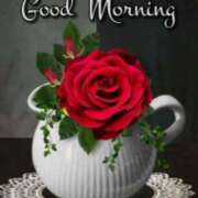 ヒメ日記 2025/09/01 08:43 投稿 ちなみ(昭和44年生まれ) 熟年カップル名古屋～生電話からの営み～